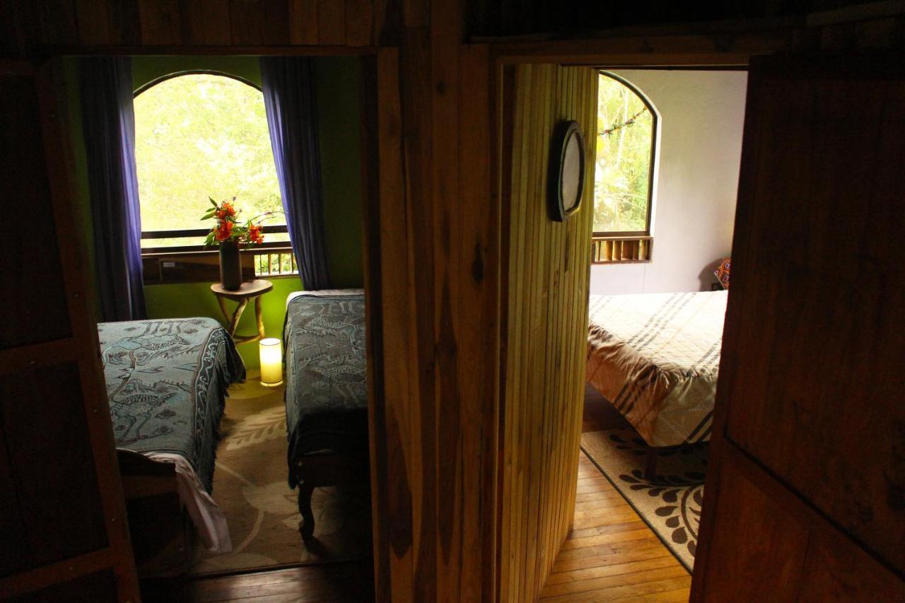 Casa Alquimia 호텔 Monteverde 외부 사진