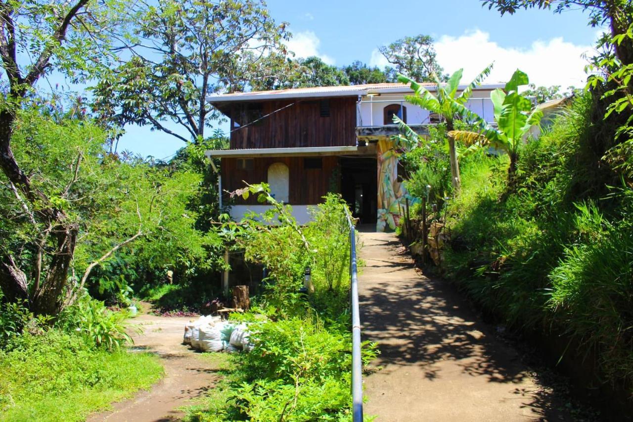 Casa Alquimia 호텔 Monteverde 외부 사진
